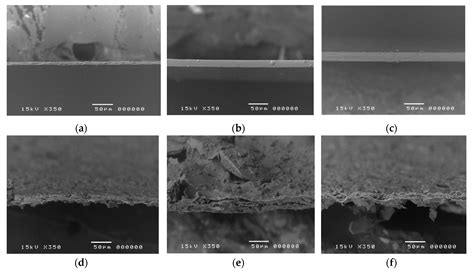 Effect of Plasticizer Type on Tensile Property and In Vitro ...