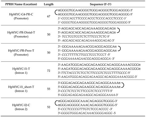 Targeting MYC Regulation with Polypurine Reverse Hoogsteen Oligonucleotides