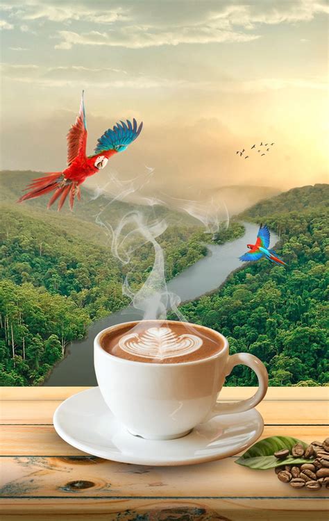 Image result for Collage Using GIMP