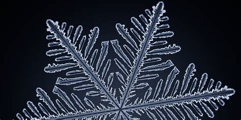 Image result for Snowflake Query Profile