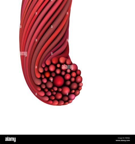 Image result for Red String Shape