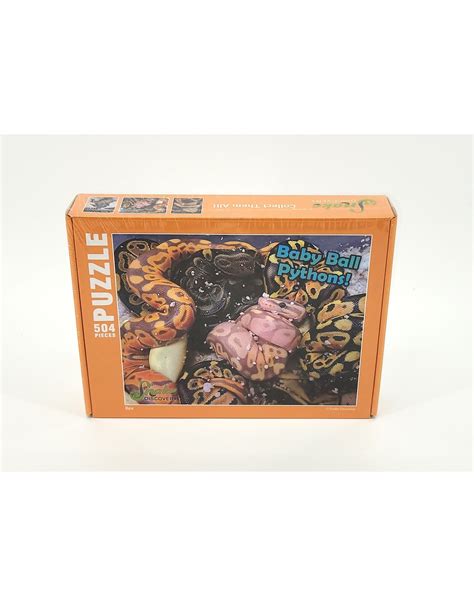 Image result for Snake Discovery Ball Python