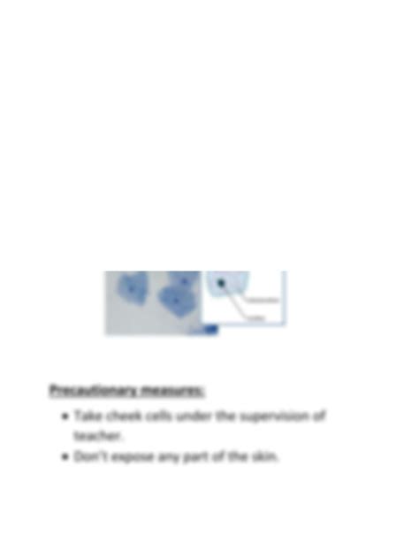 Cheek Cell Experiment Method 的图像结果