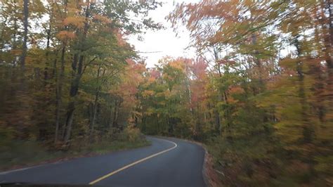 Torrance Barrens Dark-Sky Preserve - 2020 What to Know Before You Go ...
