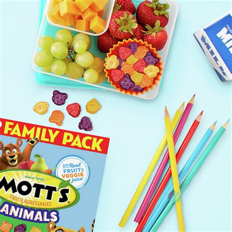 Mott's Assorted Fruit Snacks Dairy Free at Kevin Carnahan blog