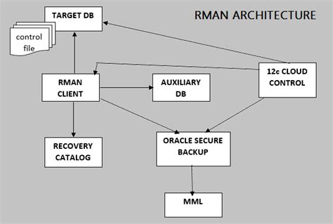Image result for Rman Tutorial