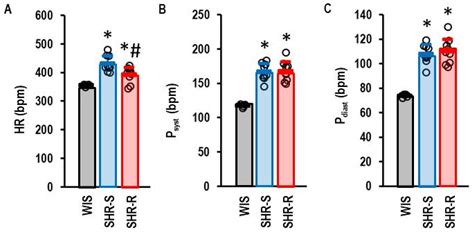 Effects of Voluntary Running Wheel Activity and Hypertension on the ...