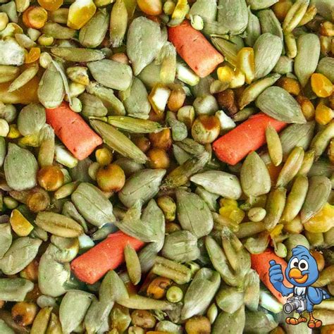 Buy BusyBeaks Premium Wild Bird Seed | No Mess Garden Birds Food Mix ...