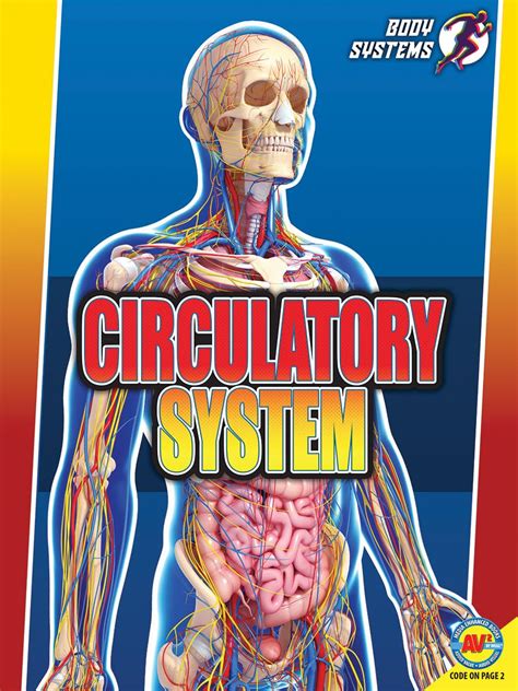 Circulatory System (Body Systems) : Rose, Simon: Amazon.in: Books