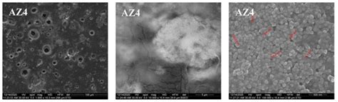 Pharmaceutics | Special Issue : Essential Oils in Pharmaceutical Products