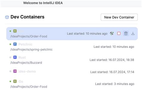 Image result for DevExpress Form Container