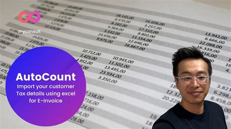 Image result for AutoCount System Debit Credit Interface