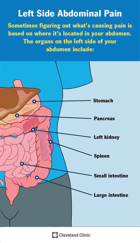 Left Side 的图像结果