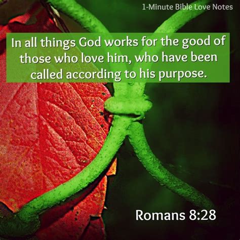 Romans 8 Verse 28 - In all things God works for the good of those who ...