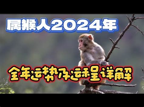 属猴人2024年全年运势及运程详解 - YouTube