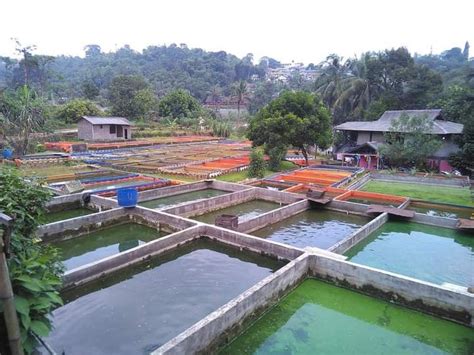 Image result for Create Mod Fish Farm