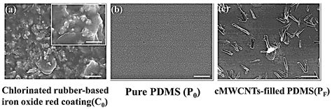 Differential Colonization Dynamics of Marine Biofilm-Forming Eukaryotic ...