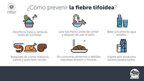 Todo sobre la fiebre tifoidea. Cómo prevenirla - Núcleo Noticias