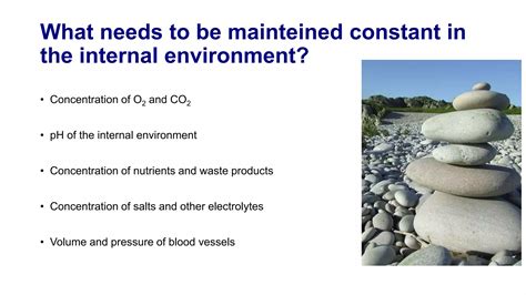 Homeostasis Control System 的图像结果