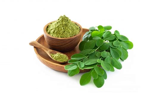 manfaat konsumsi daun kelor setiap hari