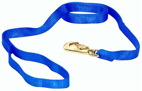 Hamilton Sheep Lead with Hand Loop, 3/4-Inch by 5-Feet, Blue : Amazon ...