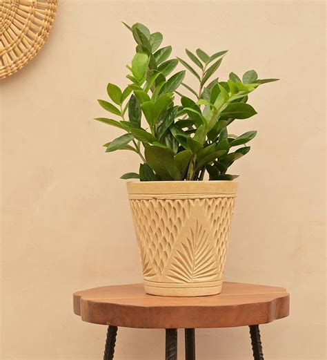 Embosse Ceramic Planter – Ugaoo