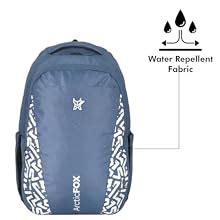 Buy Arctic Fox Frame Black 15.5 Inch Laptop Backpack at Amazon.in