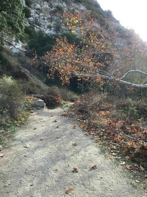 Brown Mountain Dam Waterfall - California | AllTrails