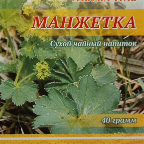 Манжетка чайный напиток купить на OZON по низкой цене (1778065443)