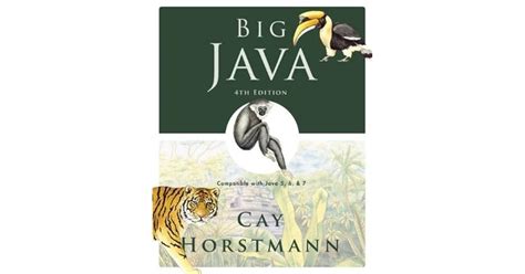 Image result for Big Java