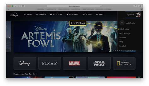 Image result for Disney Plus Languages