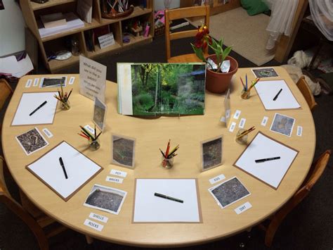Ppatch observational drawing Reggio inspired Reggio Inspired Classrooms ...