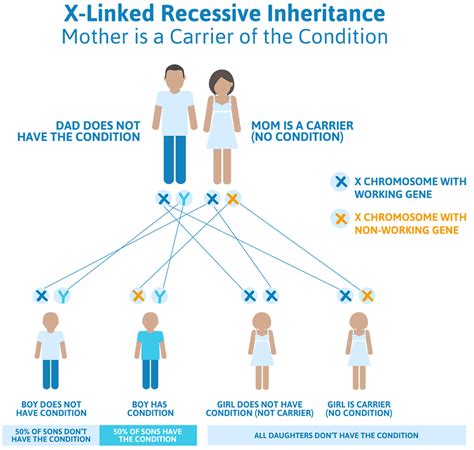 Hunter Syndrome - Causes, Symptoms, Life Expectancy & Treatment