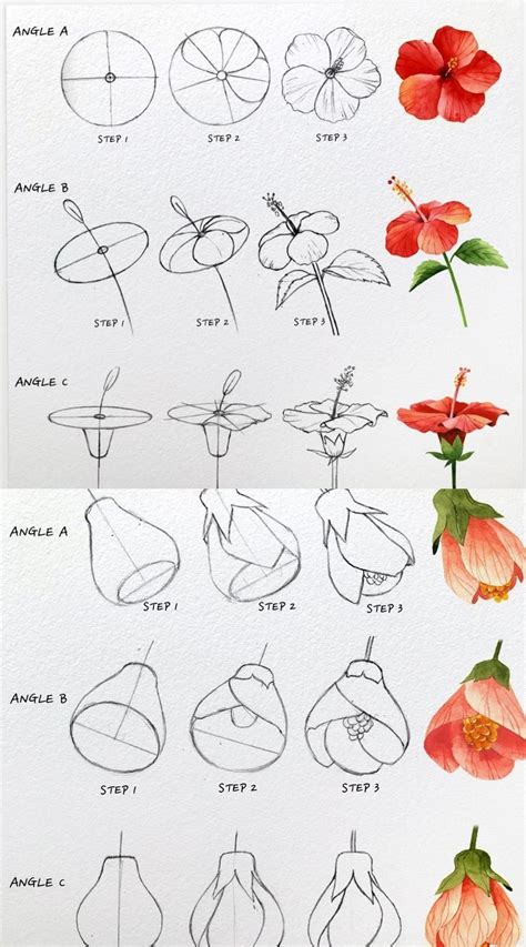 Image result for Drawing Tutorial for Flower