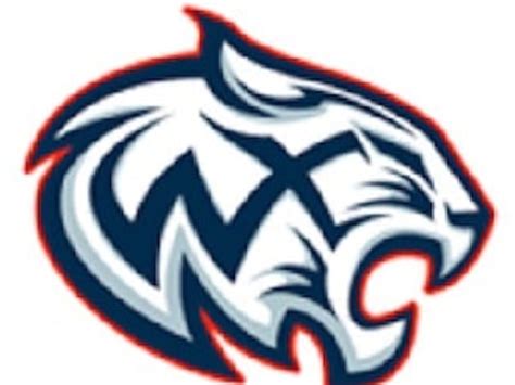 High school girls basketball: Woods Cross holds off Cottonwood ...