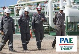 Image result for PanAmericanEnergy
