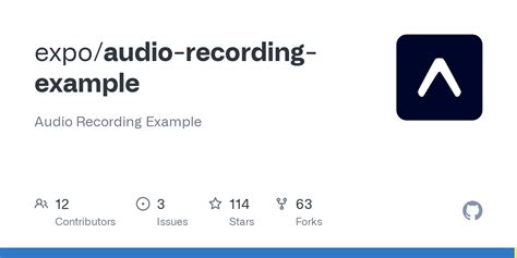 Audio Recording Example 的图像结果