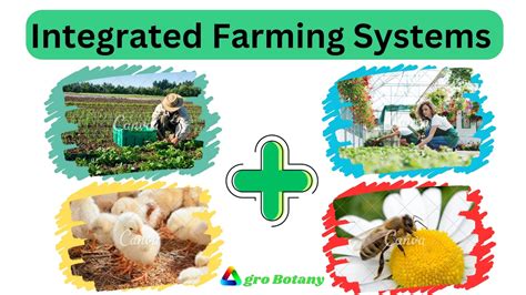 Integrated Farming System PPT | Hindi + English | PDF Download - Agrobotany - AgroBotany ...