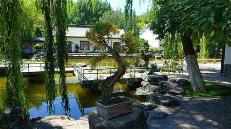西宁市北川河湿地公园：水清岸绿的“改革力量”-国际环保在线