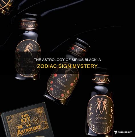 The Astrology Of Sirius Black: A Zodiac Sign Mystery | ShunSpirit