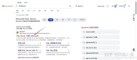 VS2022 SQL Server Tutorial 的图像结果