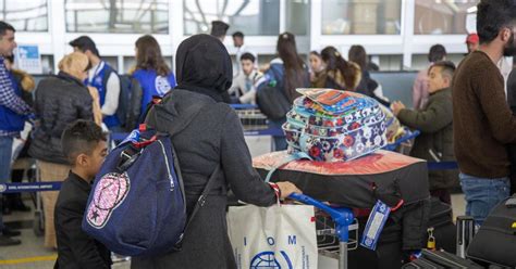 Migration Management | IOM Regional Office in Cairo | IOM Regional ...