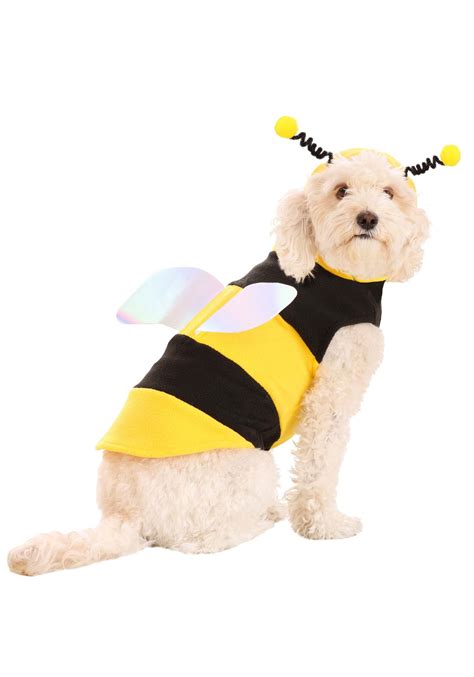 Puppy Dog Bee Costume at Benjamin Whitley blog