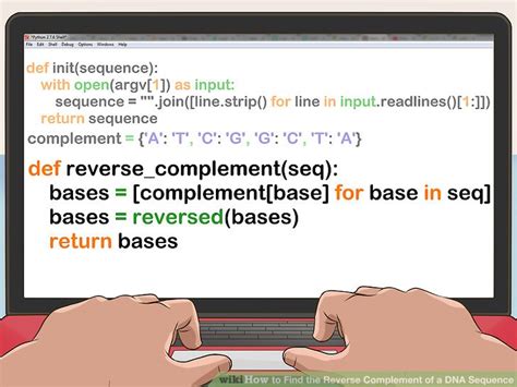 Reverse Complement 的图像结果