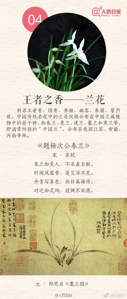 中国传统 十大名花