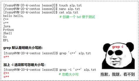 SC Redir Scriptcase 的图像结果
