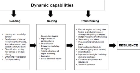 Image result for Dynamic Capability
