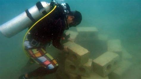 Scuba Nation Diving & Tours (Iloilo City) - 2021 What to Know Before ...