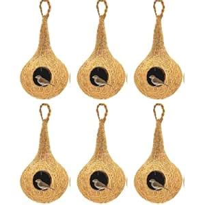 SHANTHI Enterprises Natural Birds NEST Hanging Type Tree Mounting and ...