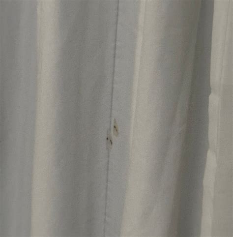 SLEEP INN SARASOTA - Updated 2026 Prices & Hotel Reviews (FL)